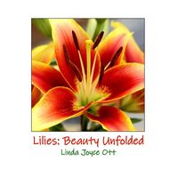 Produktbild: Lilies