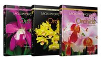 Produktbild: Micropropagation of Orchids