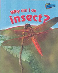Produktbild: Why am I an Insect?