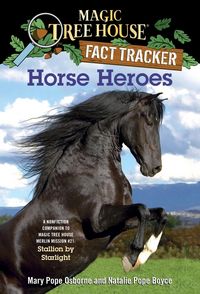 Produktbild: Horse Heroes