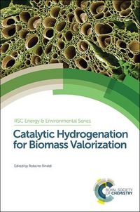 Produktbild: Catalytic Hydrogenation for Biomass Valorization