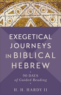 Produktbild: Exegetical Journeys in Biblical Hebrew