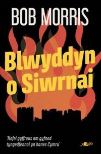 Produktbild: Blwyddyn o Siwrnai