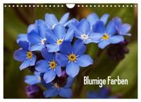 Produktbild: Blumige Farben (Wandkalender 2027 DIN A4 quer), CALVENDO Monatskalender