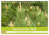 Produktbild: Naturwunder Wald (Tischkalender 2027 DIN A5 quer), CALVENDO Monatskalender