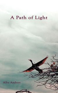 Produktbild: A Path of Light
