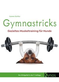 Produktbild: Gymnastricks