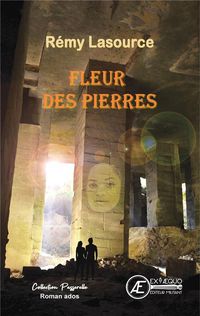 Produktbild: Fleur des pierres : roman jeunesse