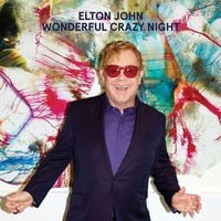 Produktbild: Wonderful Crazy Night