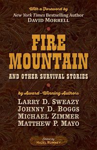 Produktbild: Zimmer, M: Fire Mountain and Other Survival Stories