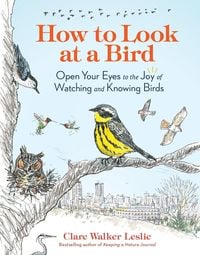 Produktbild: How to Look at a Bird