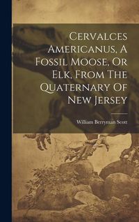 Produktbild: Cervalces Americanus, A Fossil Moose, Or Elk, From The Quaternary Of New Jersey