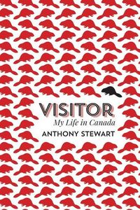 Produktbild: Visitor