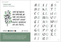 Praxisbuch Kalligraphie Alphabete
