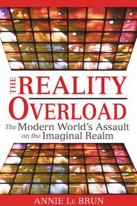 Produktbild: Reality Overload