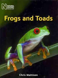 Produktbild: Mattison, C: Frogs and Toads