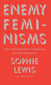 Produktbild: Enemy Feminisms