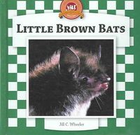 Produktbild: Bats Set 2-6v