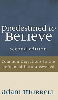 Produktbild: Predestined to Believe