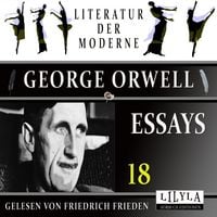 Produktbild: Essays 18