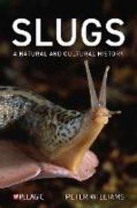 Produktbild: Slugs