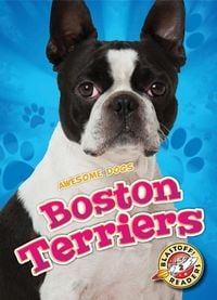 Produktbild: Boston Terriers