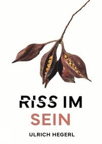 Produktbild: Riss im Sein