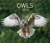 Produktbild: Owls 2012 Calendar