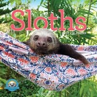 Produktbild: Original Sloths Wall Calendar 2026