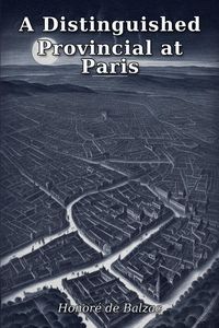 Produktbild: A Distinguished Provincial at Paris