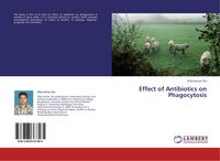 Produktbild: Effect of Antibiotics on Phagocytosis