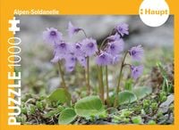Produktbild: Alpen-Soldanelle &ndash; Puzzle