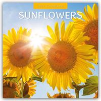 Produktbild: Sunflowers &ndash; Sonnenblumen 2027 &ndash; 16-Monatskalender