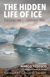 Produktbild: The Hidden Life of Ice