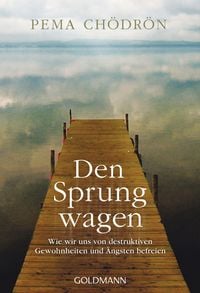 Produktbild: Den Sprung wagen