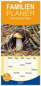 Produktbild: Familienplaner 2027 - Heimische Pilze mit 5 Spalten (Wandkalender, 21 x 45 cm) CALVENDO