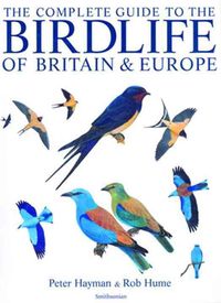 Produktbild: Hayman, P: The Complete Guide to the Birdlife of Britain and
