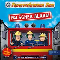 Produktbild: Folgen 16-20: Falscher Alarm (Die Original-H&ouml;rspiele zur TV-Serie)