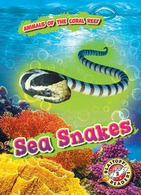 Produktbild: Sea Snakes
