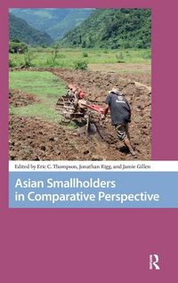 Produktbild: Asian Smallholders in Comparative Perspective