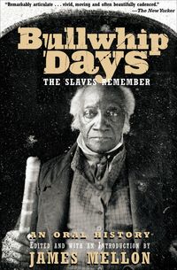 Produktbild: Bullwhip Days