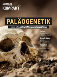 Produktbild: Spektrum Kompakt - Pal&auml;ogenetik