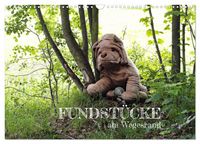 Produktbild: FUNDST&Uuml;CKE am Wegesrand (Wandkalender 2026 DIN A3 quer), CALVENDO Monatskalender