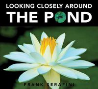 Produktbild: Looking Closely Around The Pon