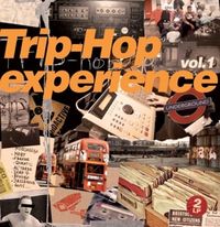 Bild vom Artikel Trip Hop Experience 01 vom Autor Various