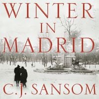 Produktbild: Winter in Madrid