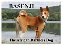 Produktbild: Basenji the African Barkless Dog (Wall Calendar 2027 DIN A3 landscape), CALVENDO 12 Month Wall Calendar