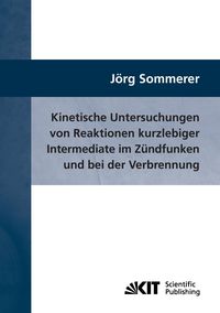 Bild vom Artikel Kinetische Untersuchungen von Reaktionen kurzlebiger Intermediate im Zündfunken und bei der Verbrennung vom Autor Jörg Sommerer