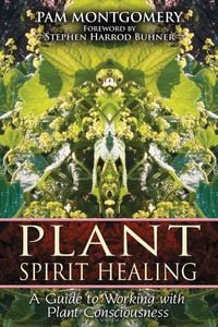 Produktbild: Plant Spirit Healing