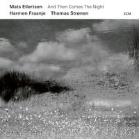 Bild vom Artikel And Then Comes The Night vom Autor Mats Eilertsen